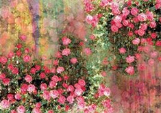 Digital Print Silk Shawl Ražotājs Ķīnā